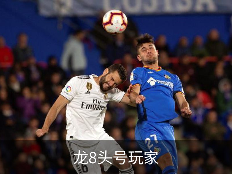 龙8头号玩家品牌故事